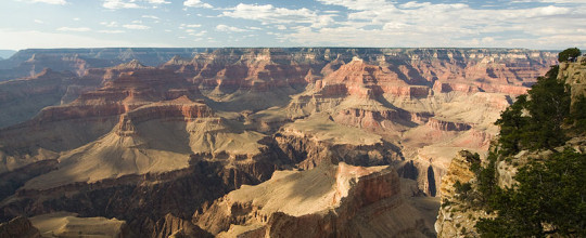 Arizona
